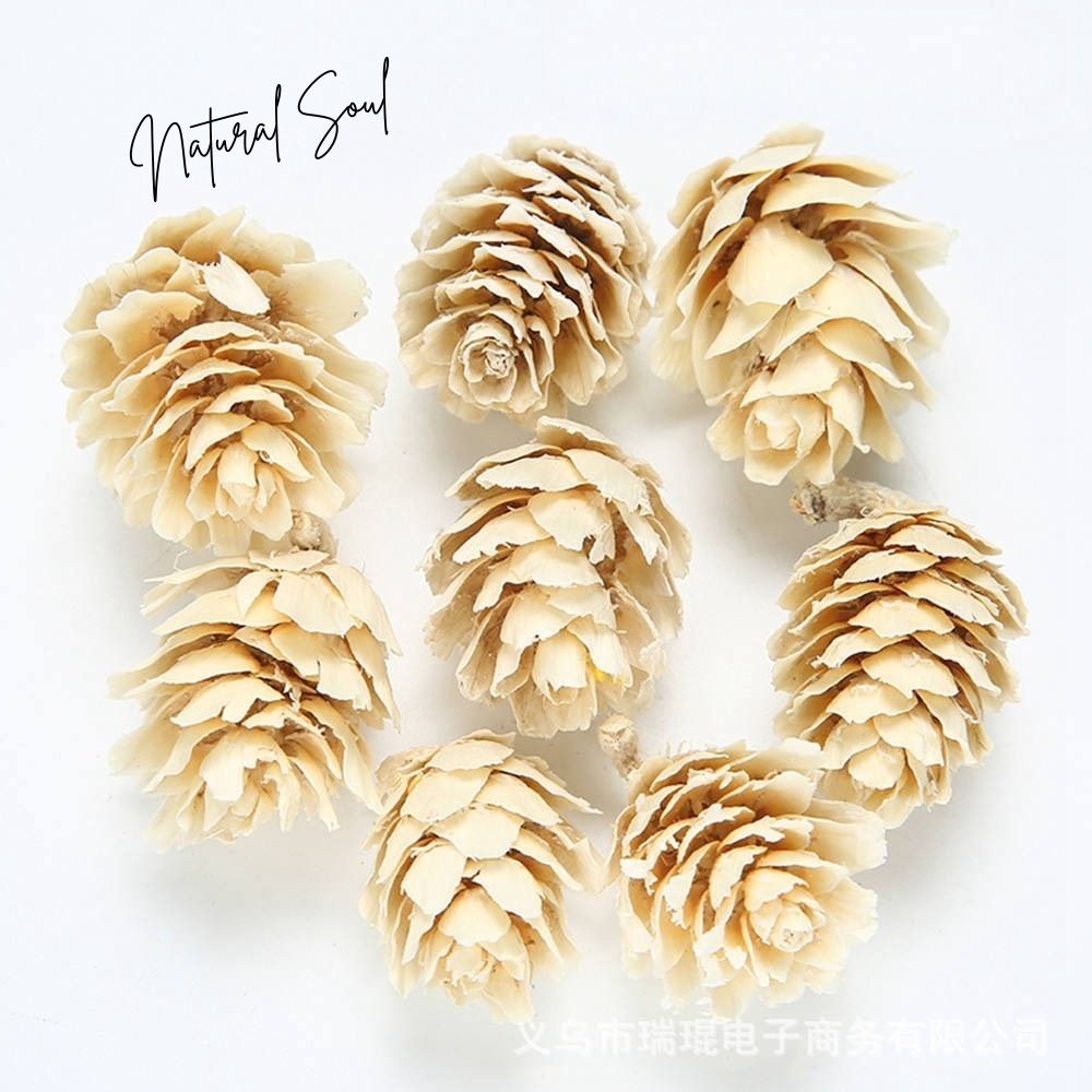 Trái Thông Khô Nhiều Màu  Shop Natural Soul