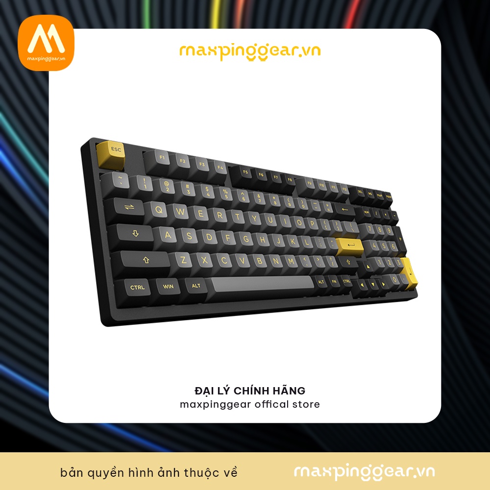 Bàn phím cơ AKKO 3098B Multi-modes Black Gold (Bluetooth 5.0 / Wireless 2.4Ghz / Hotswap / Foam tiêu âm / Foam đáy / AKK