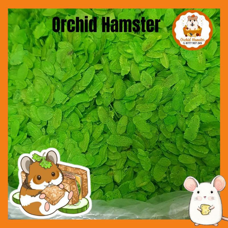 Cốm Xanh Ăn Dặm Hamster Bổ Sung Dinh Dưỡng