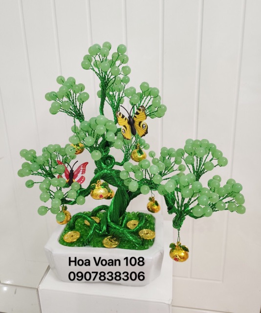Cây kiểng bằng hột đá cao 30cm