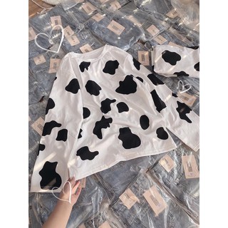 ➰Áo Thun Tay Dài Bò Sữa