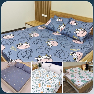 Ga Trải Giường Cotton Poly, Ga Nệm Mùa Hè Nhiều Họa Tiết