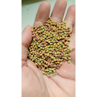 Hạt trái cây Thailand dành cho vẹt size trung và nhỏ gói lẻ 100g