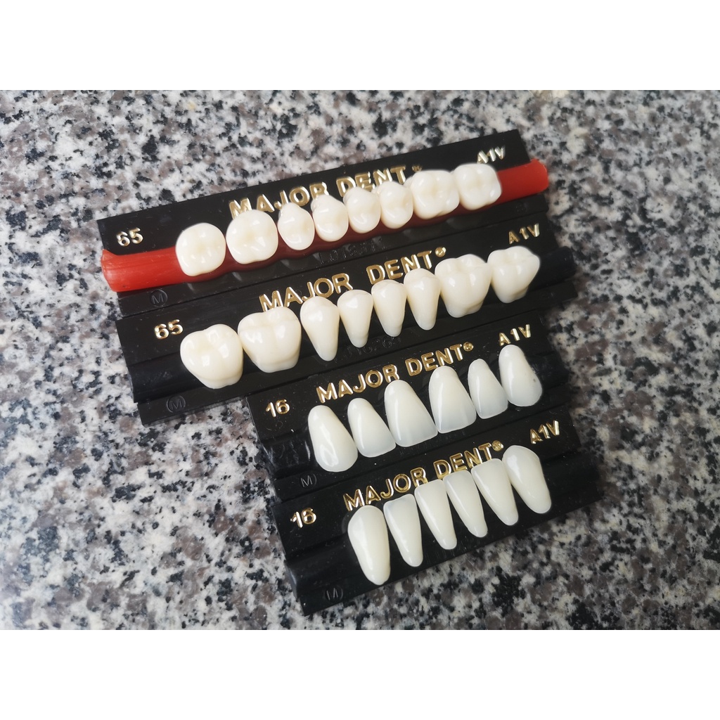 Răng nhựa giả tháo lắp màu A1 siêu cứng 3 lớp Major Dent Italy Artificial Teeth