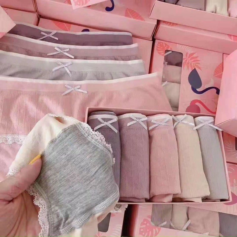 PVN24564 Set 5 Quần Lót Cotton Nữ In Hình Chim Hồng Hạc T2 .