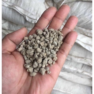 Đá bọt Pumice Indonesia 1kg