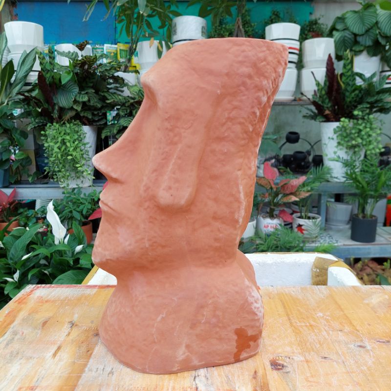 Chậu đất nung, Chậu sen đá, Mr Moil, miệng chậu 13cm, chiều cao 35cm