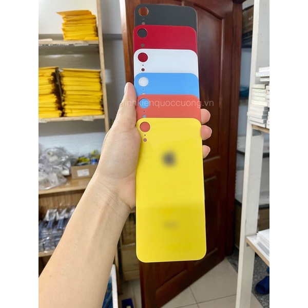 Kính lưng X-R đủ màu