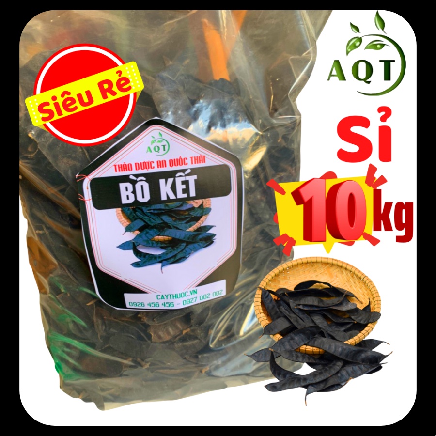 Bồ Kết Khô Sỉ 10KG Giá Rẻ Nhất, Trái Bồ Kết Gội Đầu, Xông Nhà Nguyên Chất