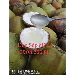 Dừa Sáp Thượng Hạng 250k trái 1,6ký - 2ký