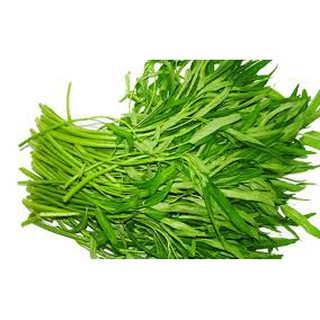 30 Gram Hạt giống rau muống