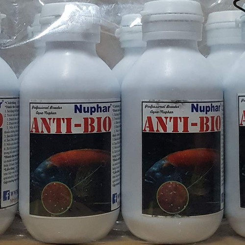 Dược phẩm ANTI BIO - Nấm sẽ biến mất khỏi Cá Yêu của bạn