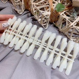 Móng mẫu mới - Móng sơn mẫu (240 móng)