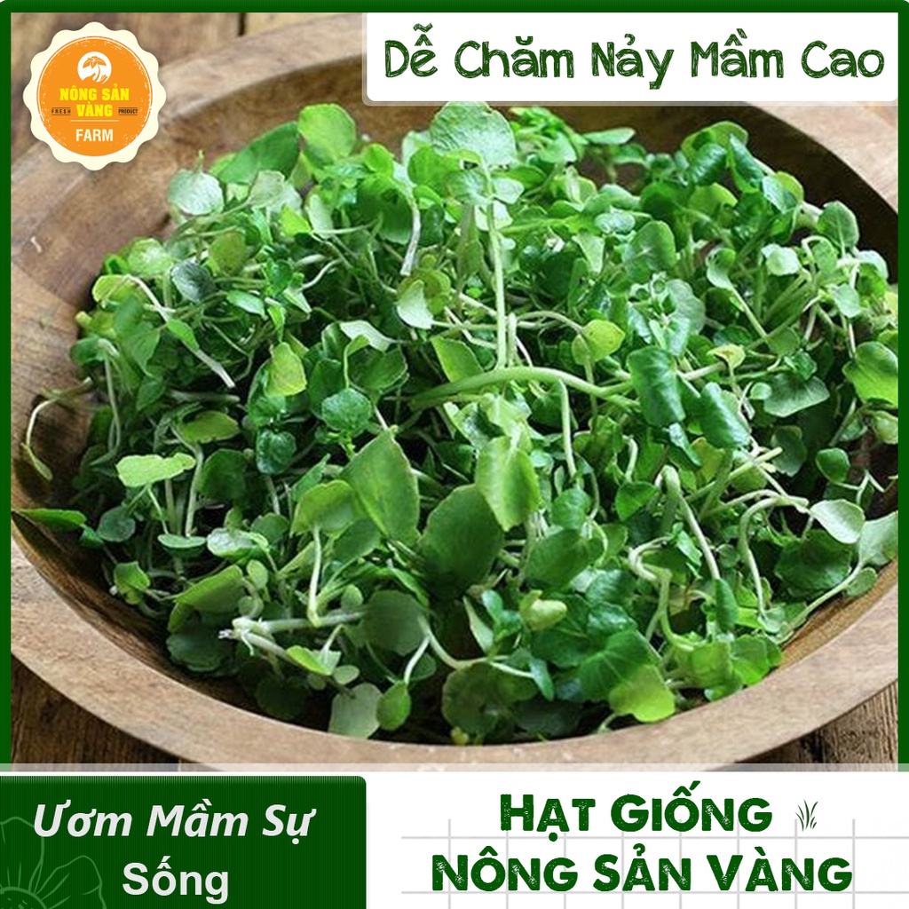 Hạt giống Xà Lách Xoong Dễ Trồng ( gói 0,5 Gram ) - Nông Sản Vàng