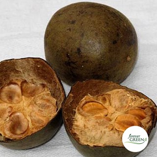 1KG La hán quả - Thanh nhiệt cơ thể, long đờm bổ phổi - FG016