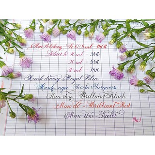 🎀 Mực bút máy Pelikan lọ 62.5ml