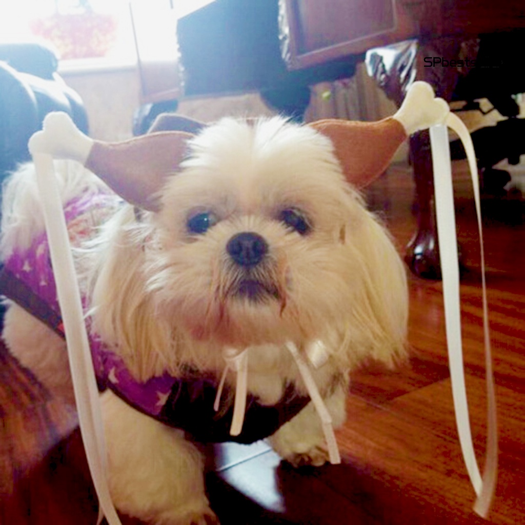 Cài Tóc Hình Gậy Đánh Trống Ngộ Nghĩnh Cho Thú Cưng