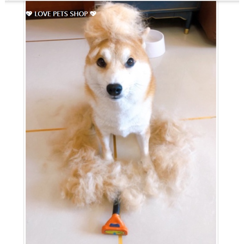 LƯỢC CHẢI LÔNG CHO CHÓ MÈO CHUYÊN DỤNG -  LOVE PETS SHOP