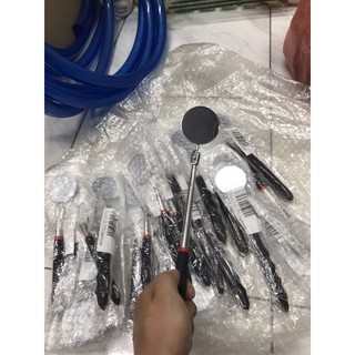 Kính kè cá - Gương kè - Cây Kè cá #Betta #Cá cảnh