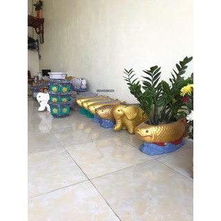 chậu con voi
