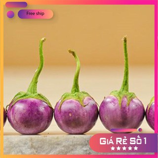 Hạt giống cà pháo tím (2gr) LUCKY.VN
