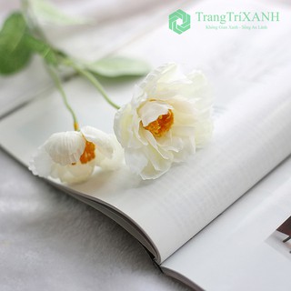 Hoa Lụa - Lan Tường Loại 1 Giống Thật
