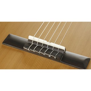 Ngựa Lược Guitar Acoustic ( Xương ) - Phân phối Sol.G