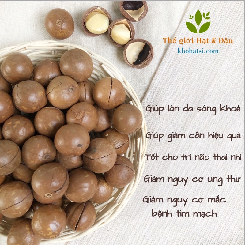 500G Hạt Macca Úc Nứt Vỏ Tự Nhiên Size 2325 TẶNG ĐỒ KHUI