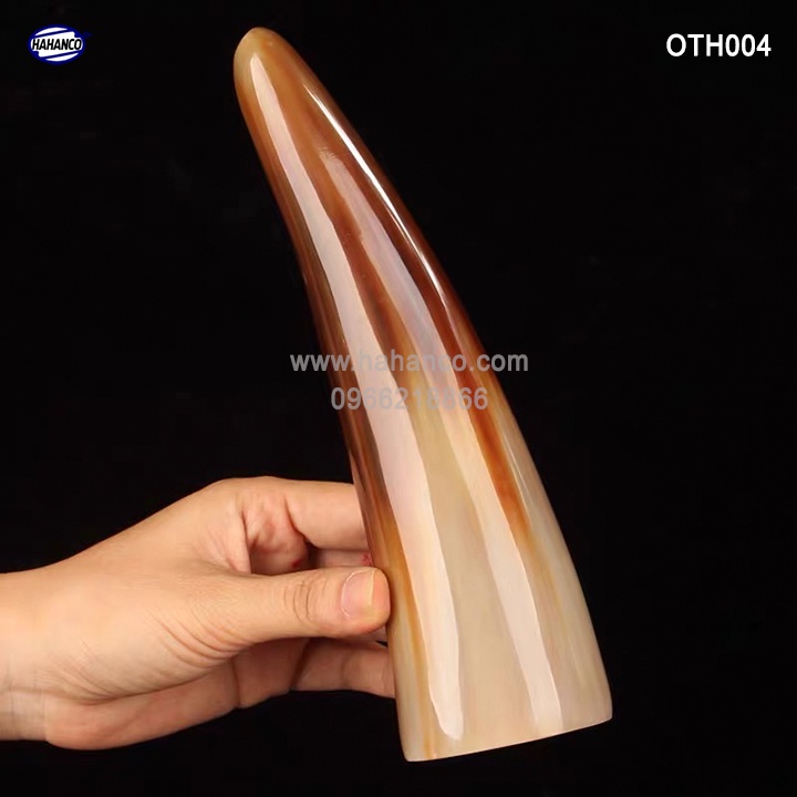 Chóp sừng Bò Châu Phi vật phẩm phong thủy - Mang lại giàu sang, sung túc