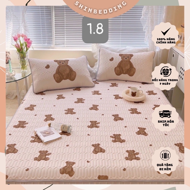 Set Chiếu Điều Hoà 5D Thường - Hàng 5d Sẽ Mỏng Hơn Loại latex-shinbedding