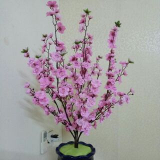 Cành đào vải lụa