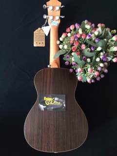 Đàn ukulele Concert Full CA120 CB1