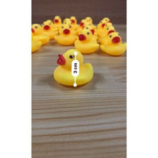 Vịt con kêu chút chút đáng yêu