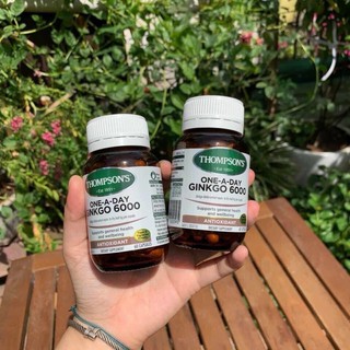Viên uống bổ não ginkgo thompson's 6000mg