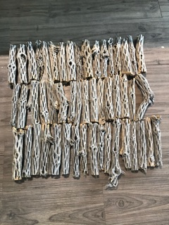 Lũa CHOLLA - 15cm - Hồ Cá Tép