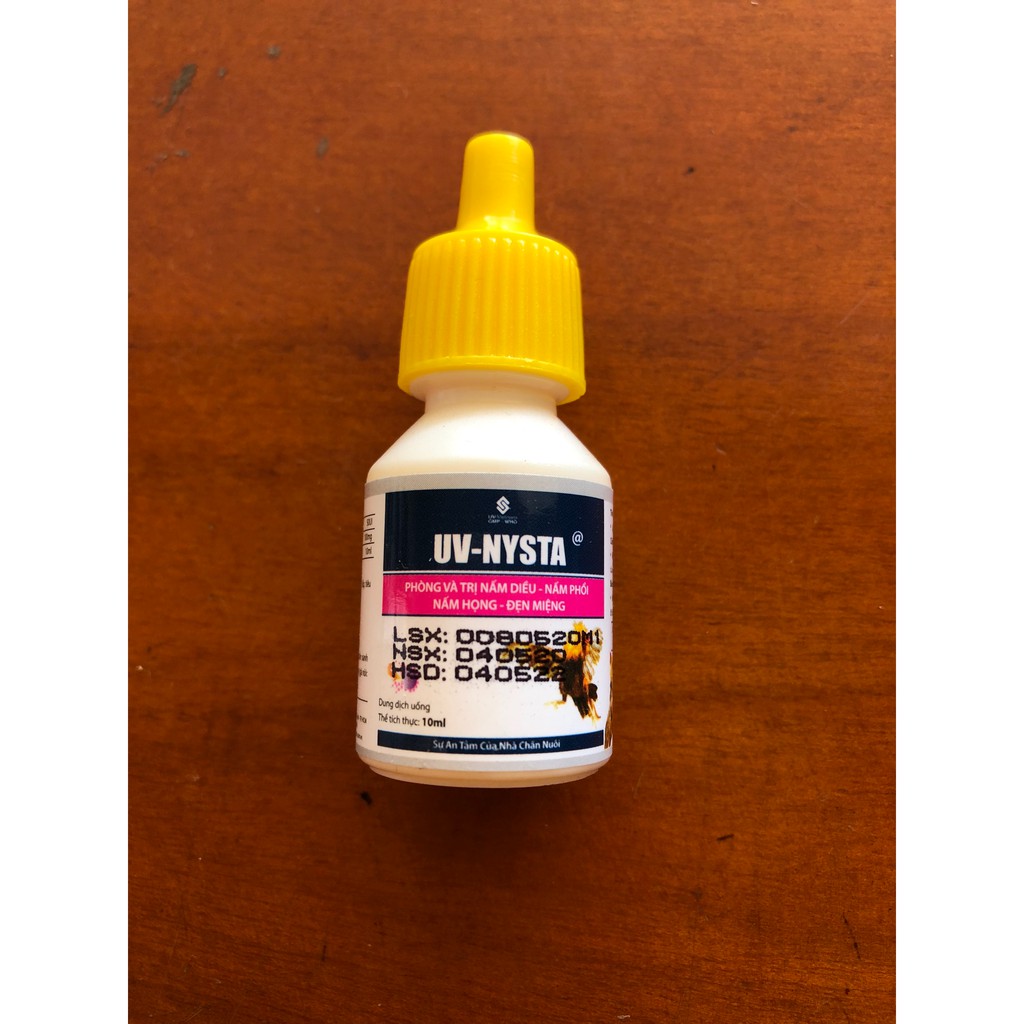 NYSTA UV trị nấm diều, nấm phổi, nấm họng