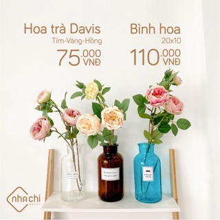 Hoa trà Davis 3 màu