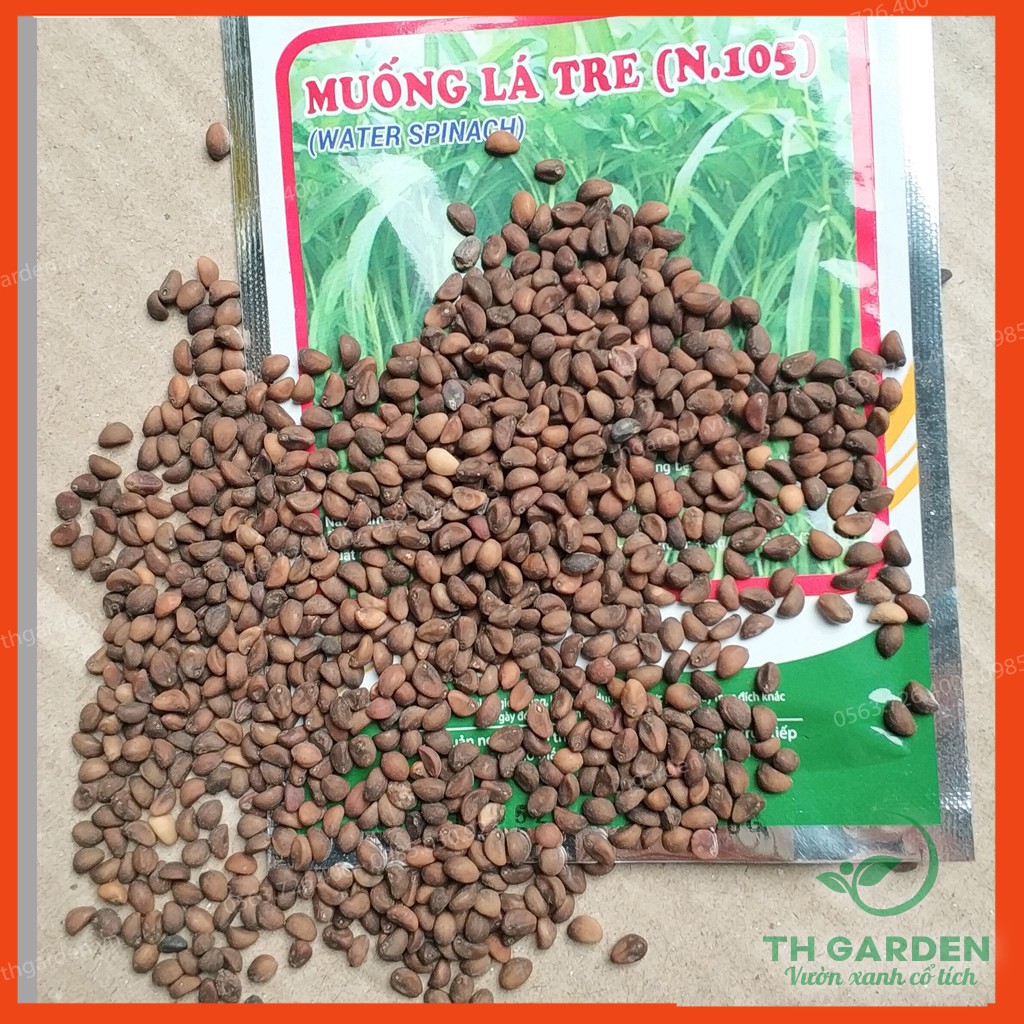 Hạt Giống Rau Muống Lá Tre - 50 Gram - Dễ Trồng, Ăn Quanh Năm - Học Viện Nông Nghiệp Việt Nam