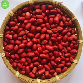 Đậu phộng đỏ (lạc đỏ nhân) Banfarm đặc sản - thơm bùi béo 500g