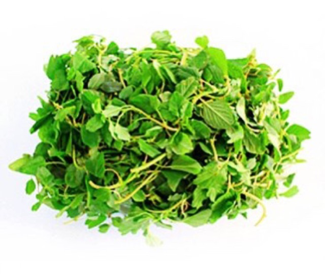 Hạt giống rau dền cơm- gói 10gr