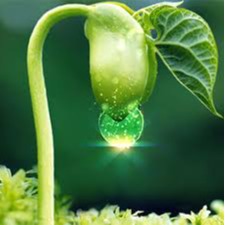 PHÂN PHỐI GIA DỤNG BẢO PHÚC
