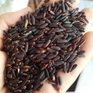 Gạo lứt tím thảo dược hữu cơ