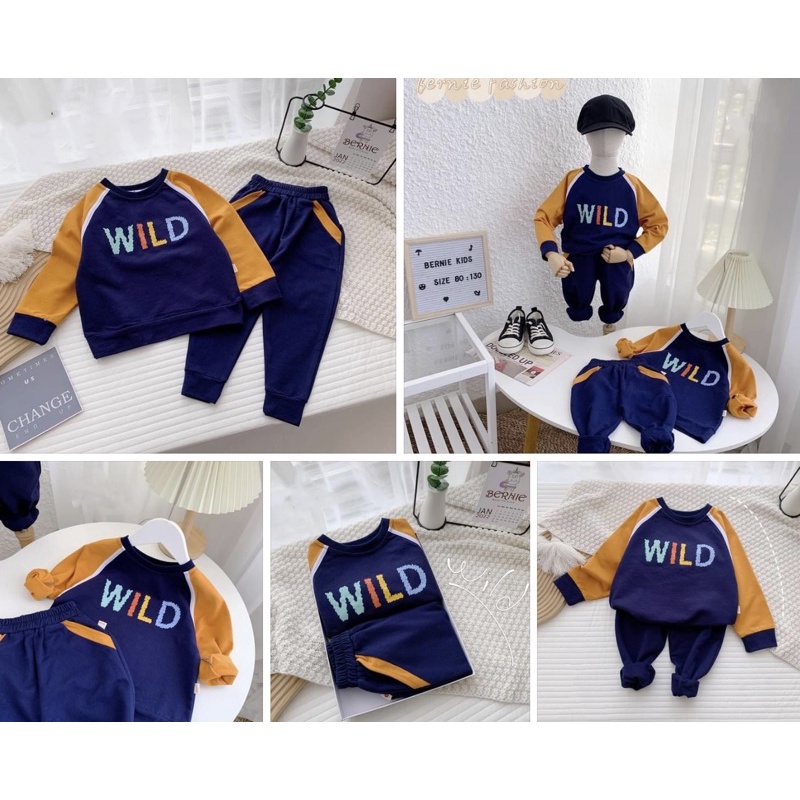 BỘ NỈ PHỐI TAY WILD BÉ TRAI