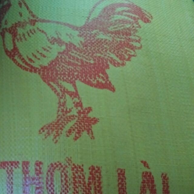 Gạo 5451 bao 25kg