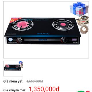 Bếp gas Bluestar NG-5680CI - Bếp đôi