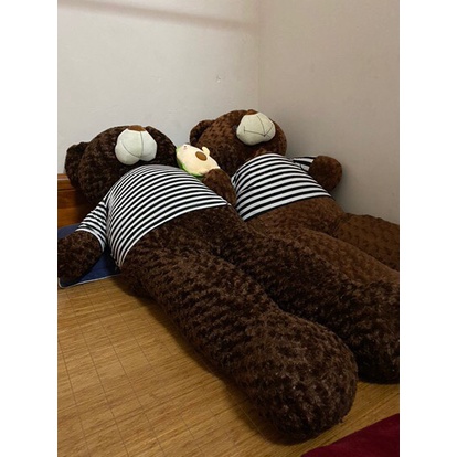 Gấu bông teddy khổng lồ 1m8 | Gấu Bông To, Gối Ôm Hình Thú Teddy Nâu Bự Khổng Lồ Siêu Đáng Yêu