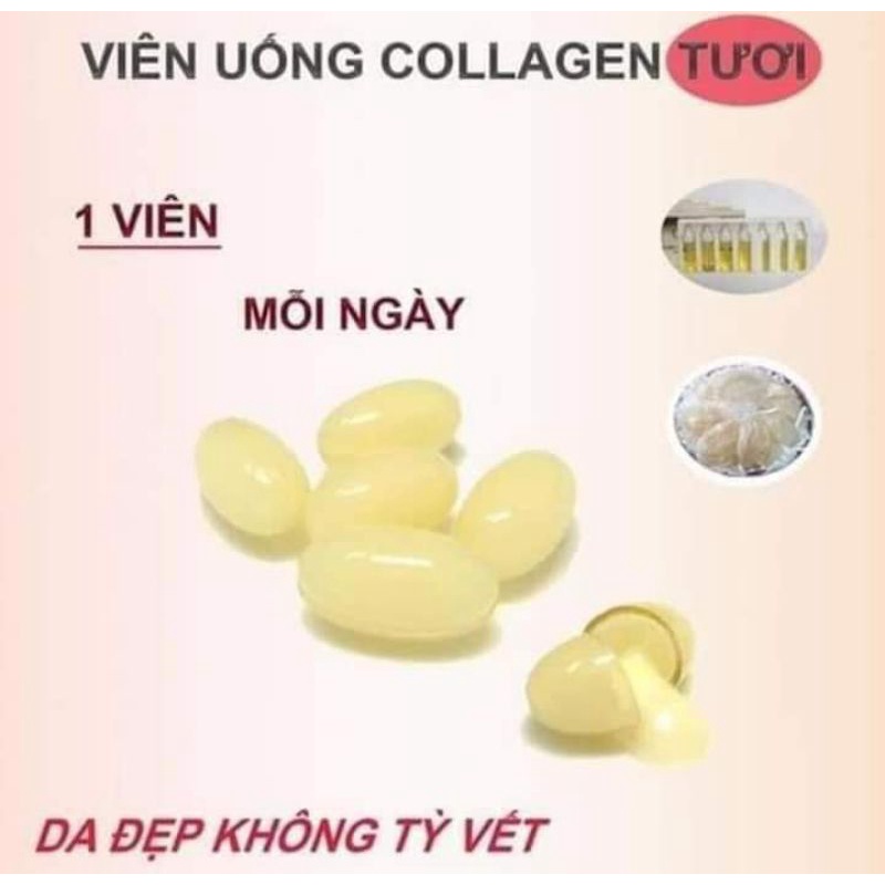 Viên uống hỗ trợ đẹp da Collagen tươi tổ yến Soft Capsule Nội địa Nhật túi 30 viên