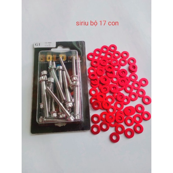 Bộ ốc lóc máy salaya kèm lông đền . Exciter 135,150, winner, Raider,Sirius, wave.