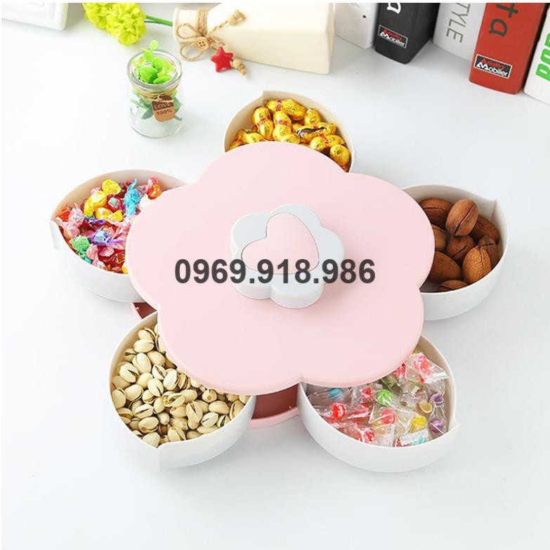 🍦 Hộp Đựng Bánh Kẹo Mứt Tết Xoay Tròn Nở Hoa 5 Cánh 1 Tầng Đẹp Cao Cấp Giá Gốc Sỉ Rẻ 🍏 Tổng Kho Gia Dụng Sài Gòn 🍏