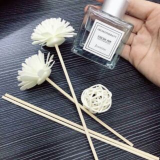 Combo 4 lọ Tinh dầu thơm để phòng